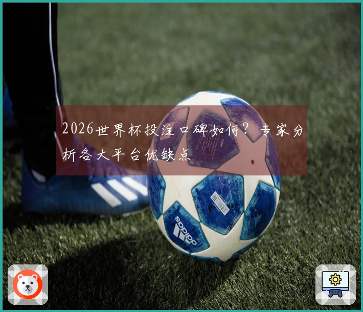 2026世界杯投注口碑如何？专家分析各大平台优缺点