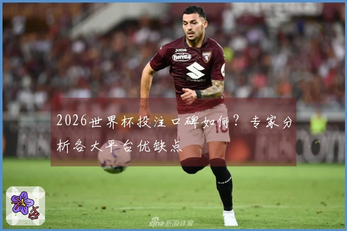 2026世界杯投注口碑如何？专家分析各大平台优缺点