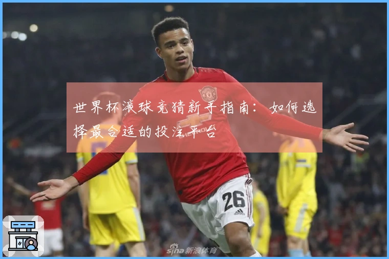 世界杯滚球竞猜新手指南：如何选择最合适的投注平台