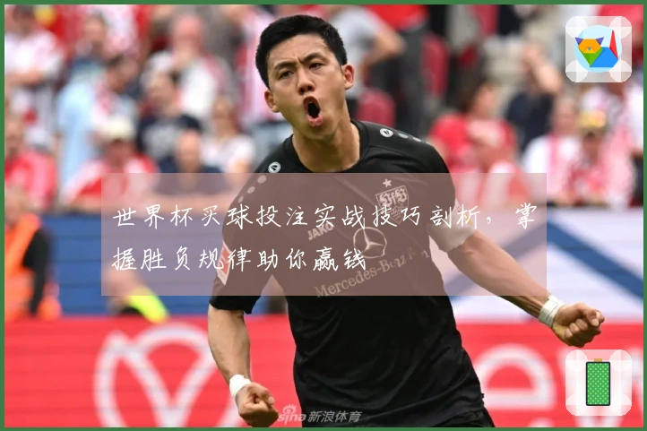 世界杯买球投注实战技巧剖析，掌握胜负规律助你赢钱